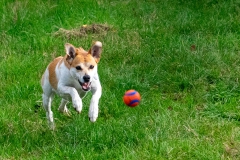 DSC02790_2048px