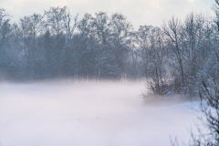 DSC02894_2048px