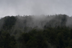 DSC3657_2048px