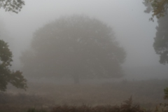 DSC5975_2048px
