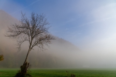DSC6819_2048px