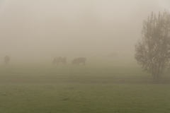 DSC_9879_2048px